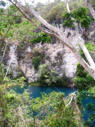 Cenote Cocodrilo dorado